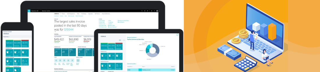 Microsoft Dynamics Navision